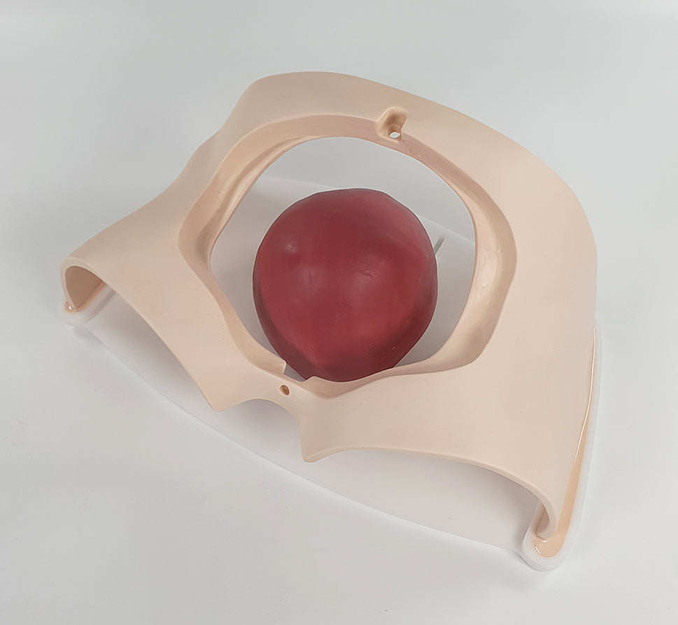 C-Section Trainer