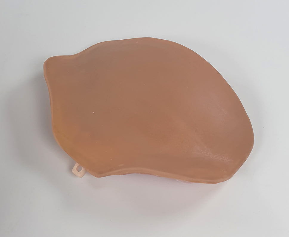 C-Section Trainer