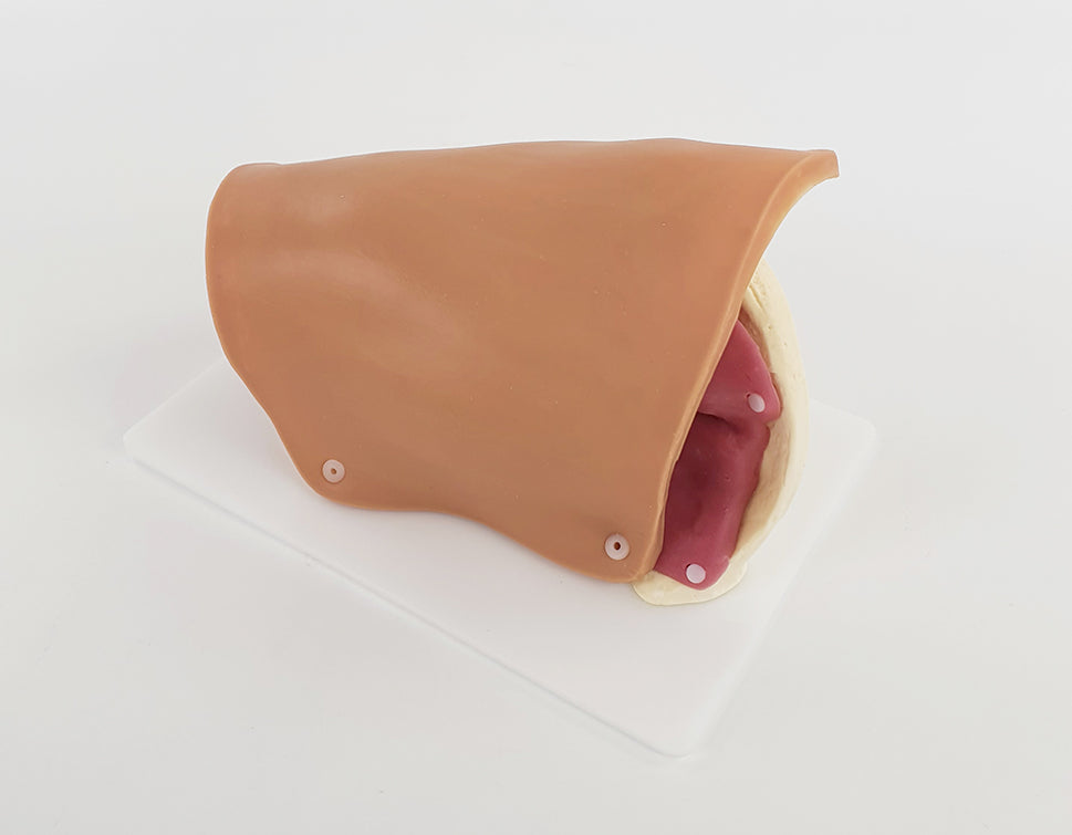 Hip Surgery Trainer