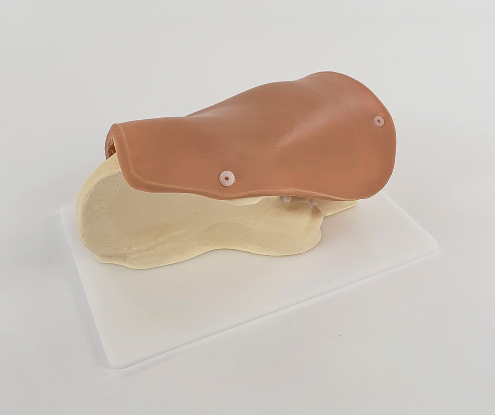 Hip Surgery Trainer