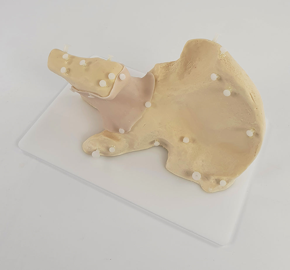 Hip Surgery Trainer