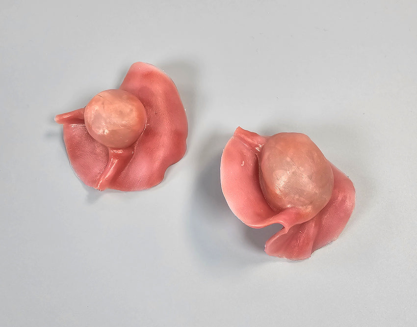 Ovarian Cystectomy Trainer