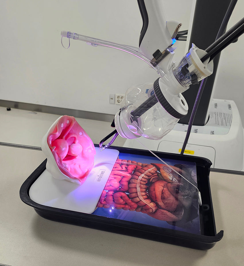 Ovarian Cystectomy Trainer