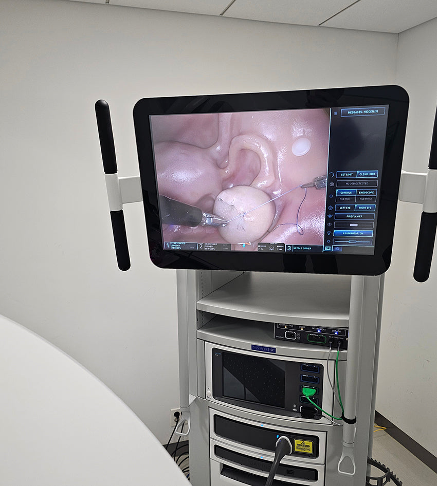 Ovarian Cystectomy Trainer