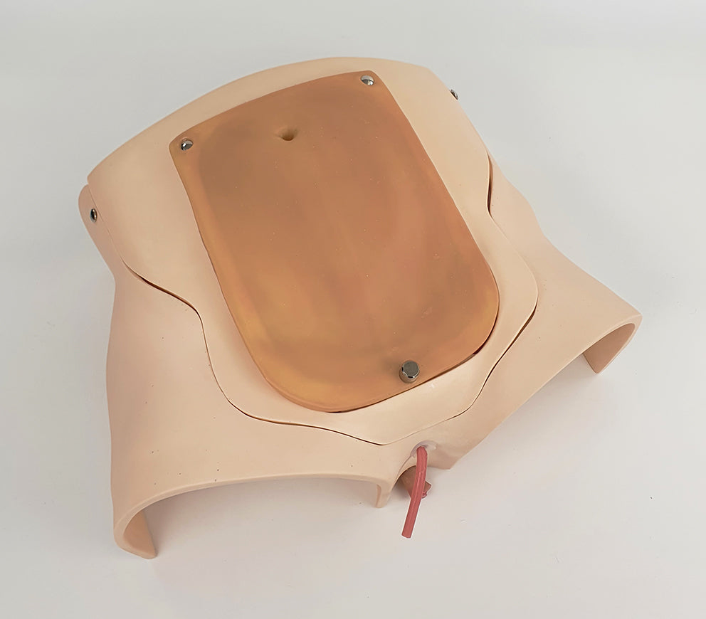 Prostatectomy Trainer P-PRT-01 Image 1