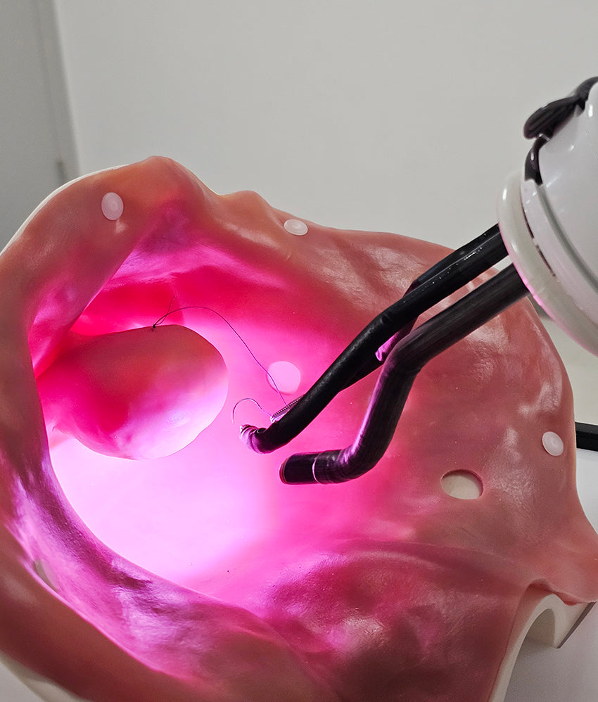 Sacrocolpopexy Trainer