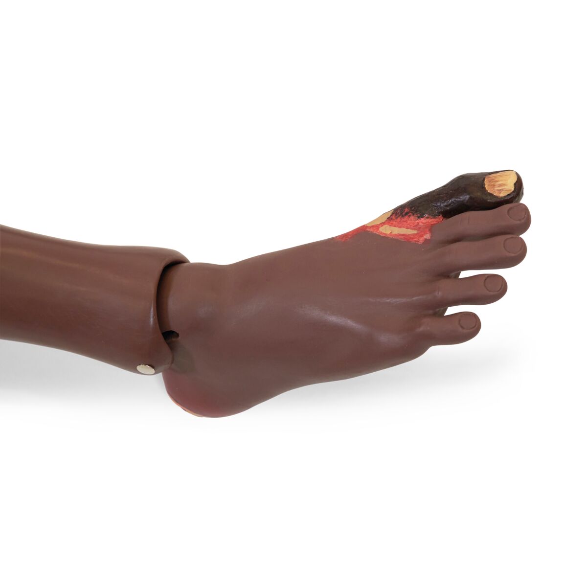 3B Scientific Patient Care Manikin Basic P11/1D 1023317 foot wound