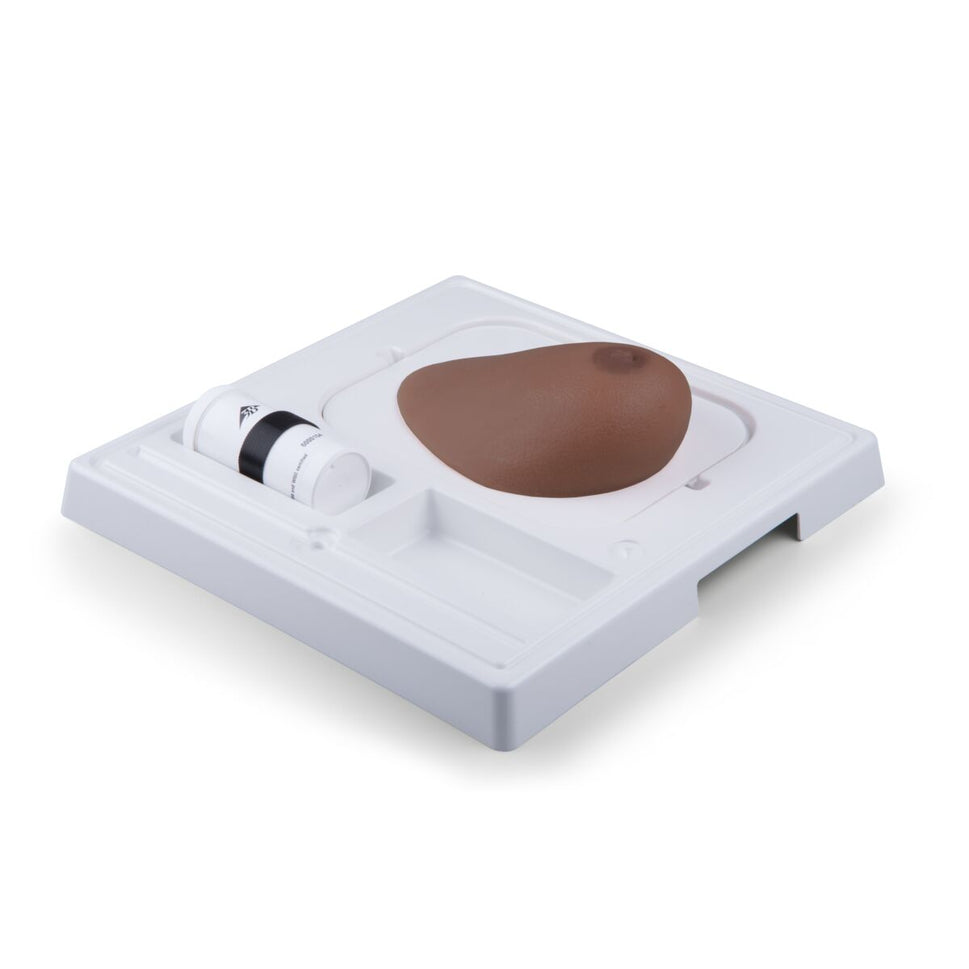SONOtrain Ultrasound Breast Model with Cysts
