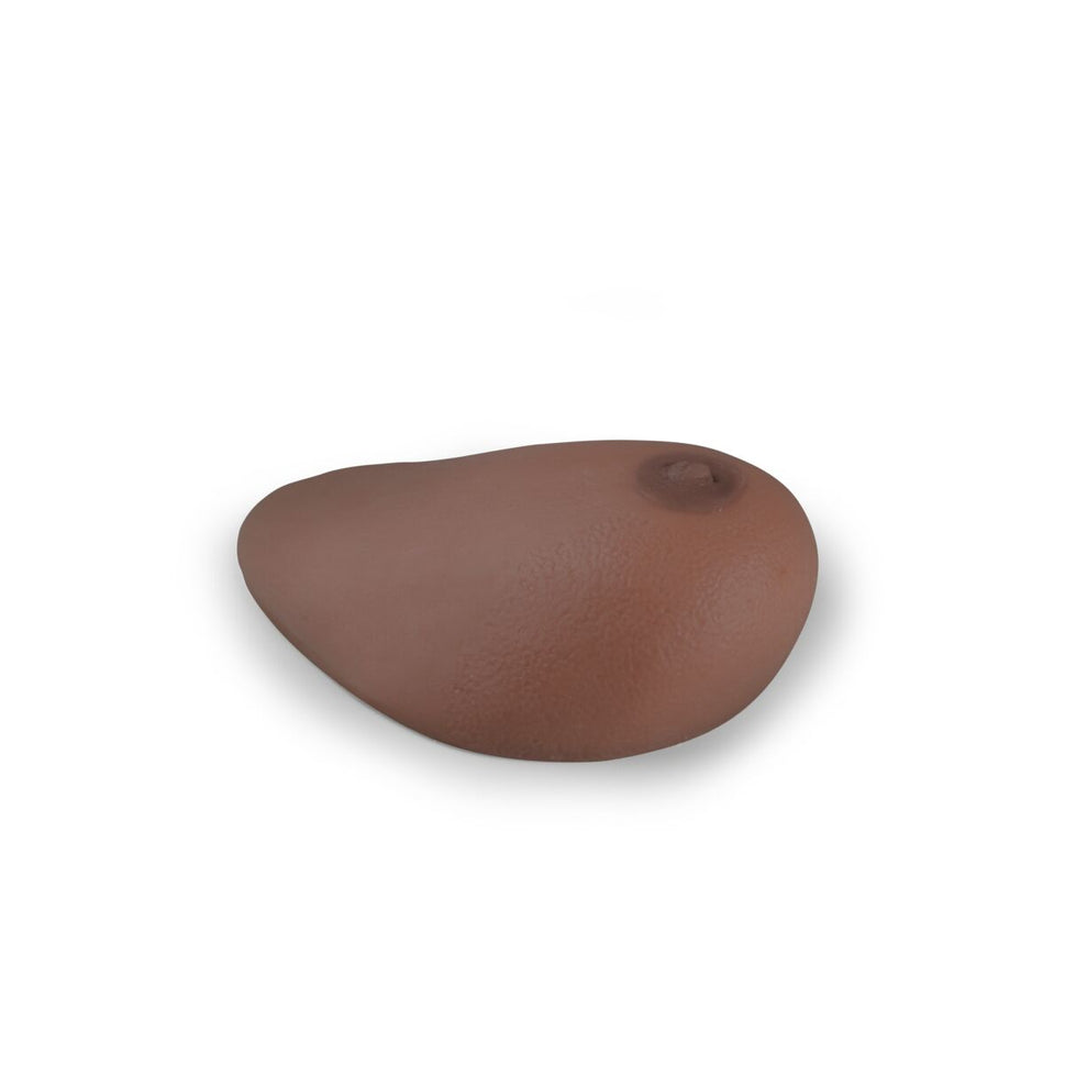 SONOtrain Ultrasound Breast Model with Tumours