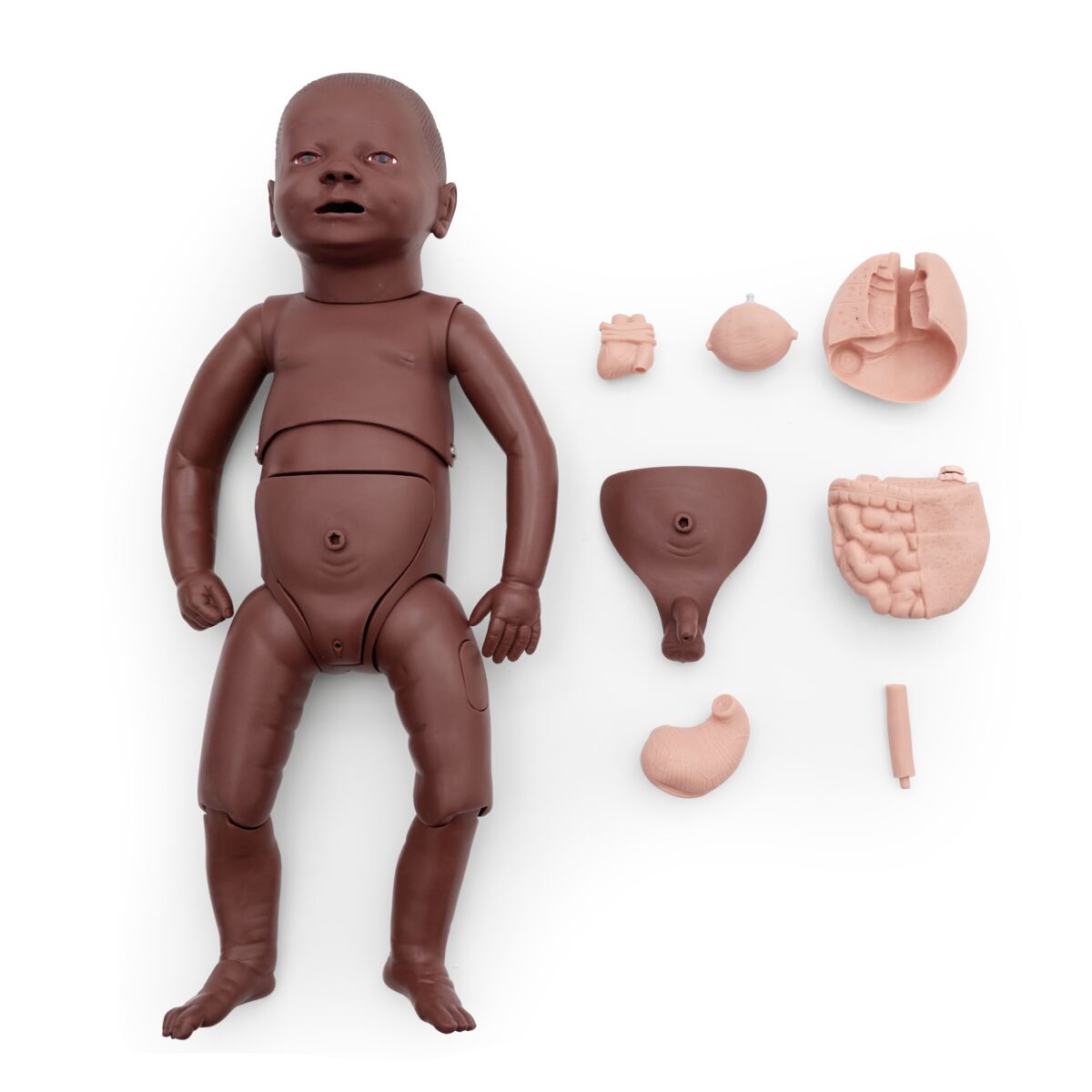 New Born Baby Nurse Training Manikin 1023315 parts separate