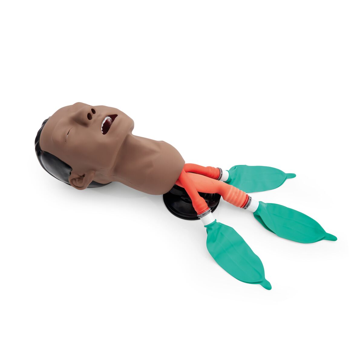 3B Basic Airway Management Trainer Dark 1026076 Image 1