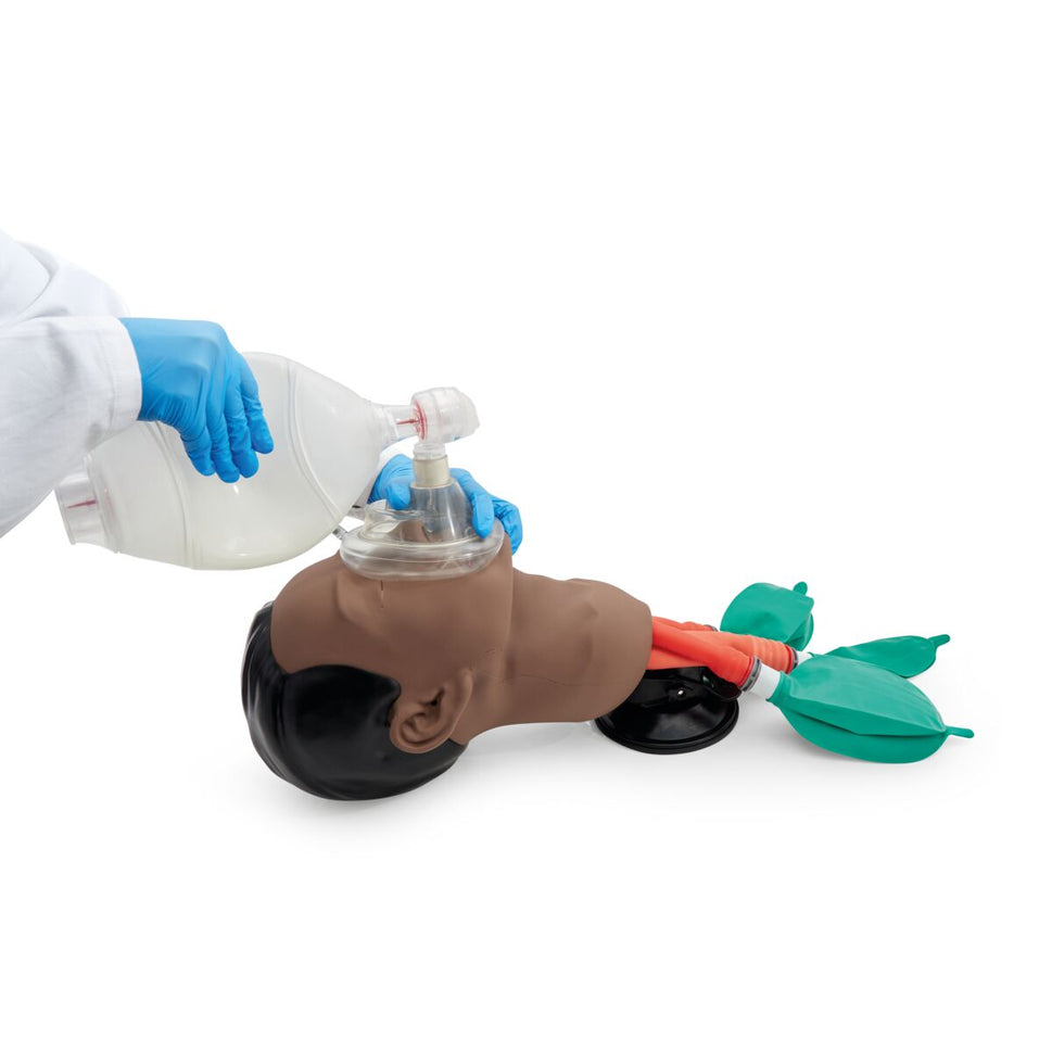 Basic Airway Management Trainer