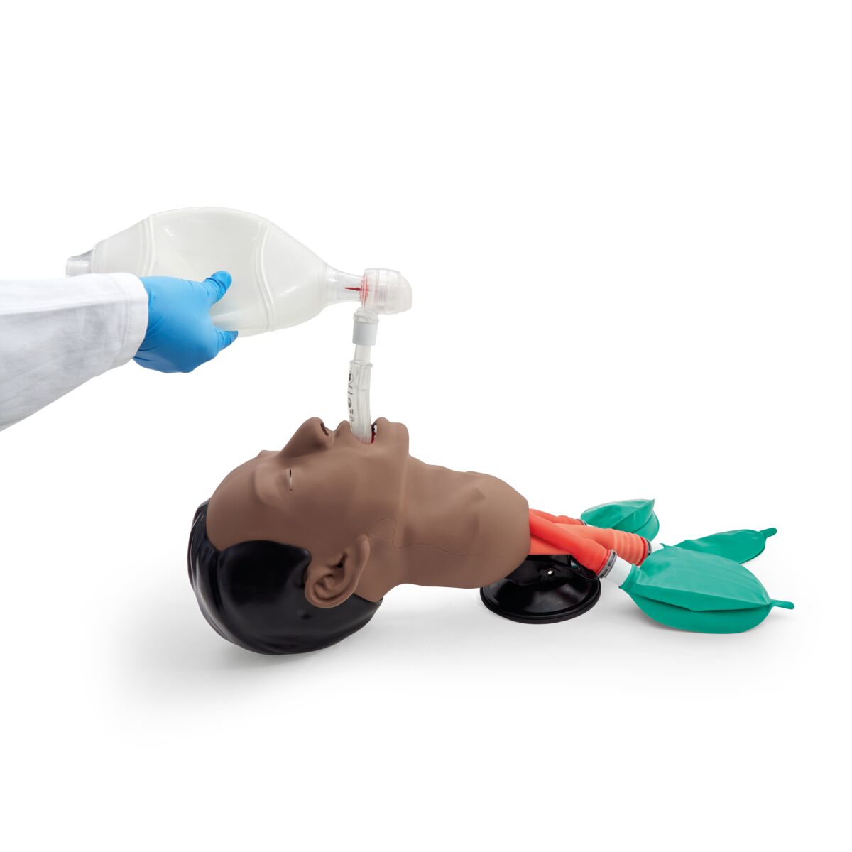 3B Basic Airway Management Trainer Dark 1026076 Image 5