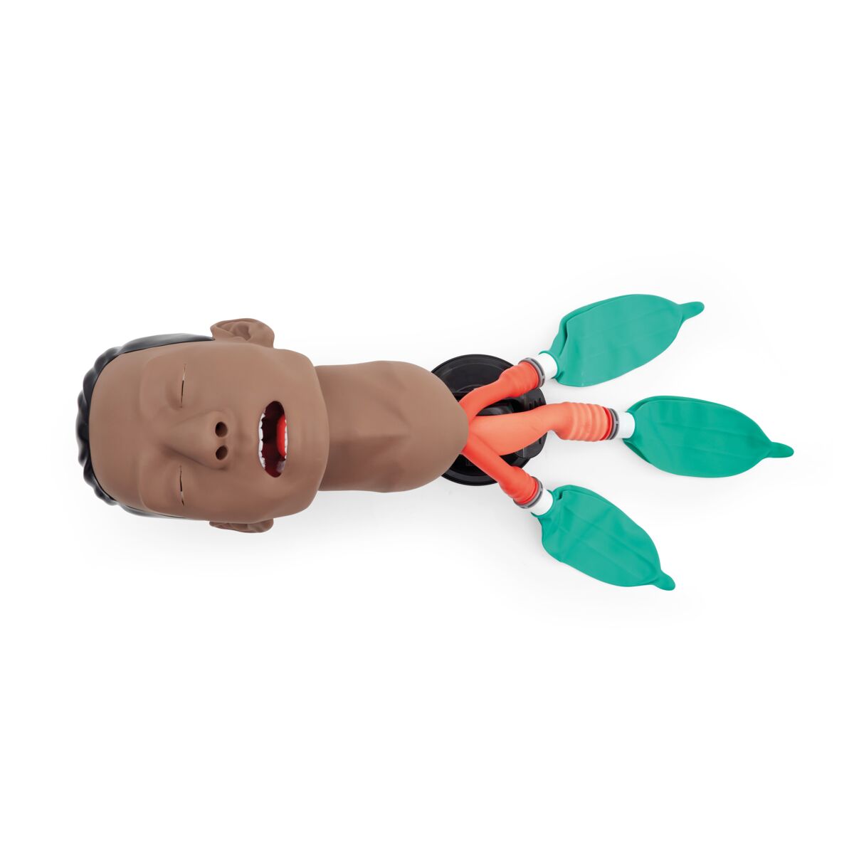 3B Basic Airway Management Trainer Dark 1026076 Image 6
