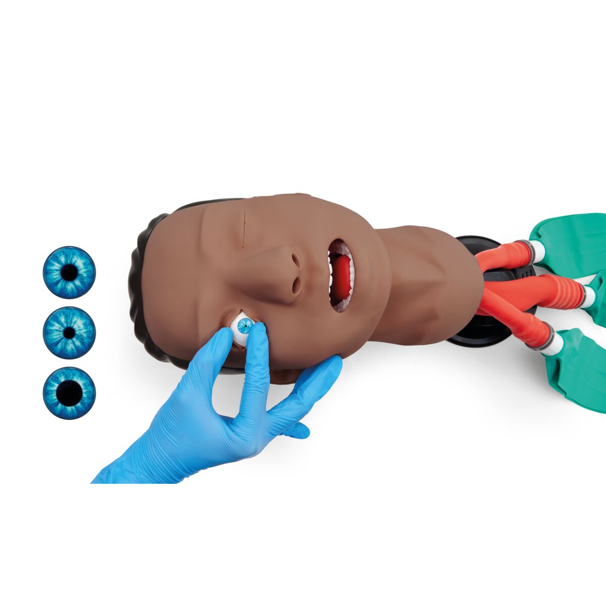 3B Basic Airway Management Trainer Dark 1026076 Image 7