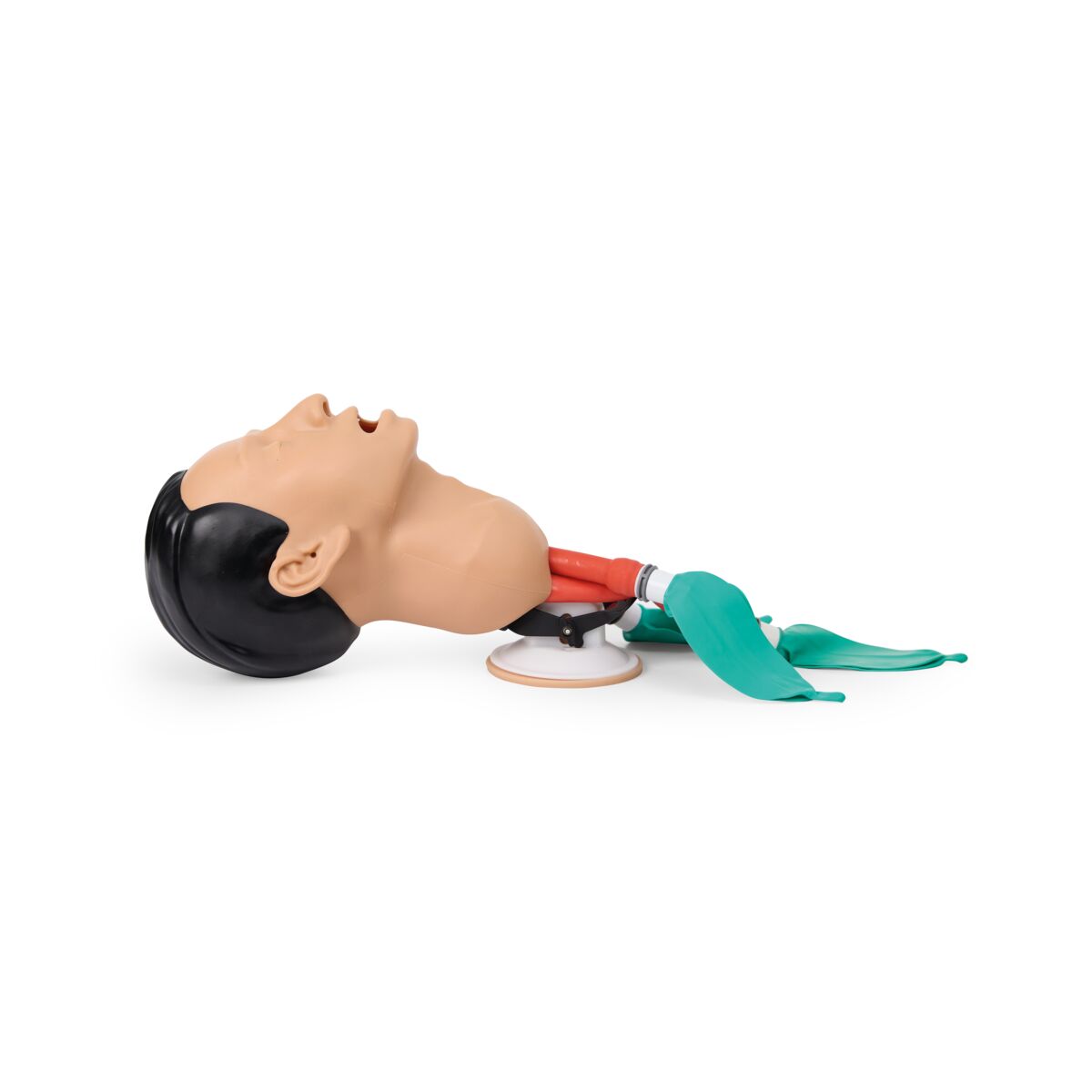 3B Basic Airway Management Trainer Light 1026007 Image 2