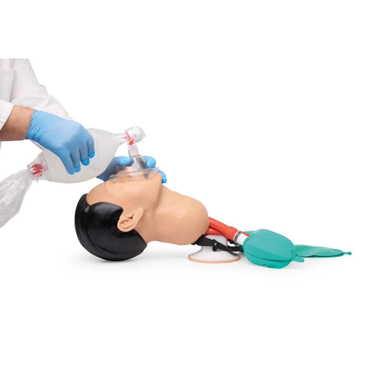 3B Basic Airway Management Trainer Light 1026007 Image 3