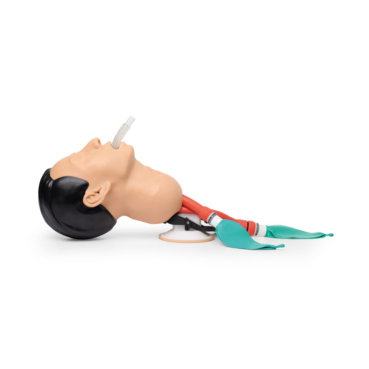 Basic Airway Management Trainer
