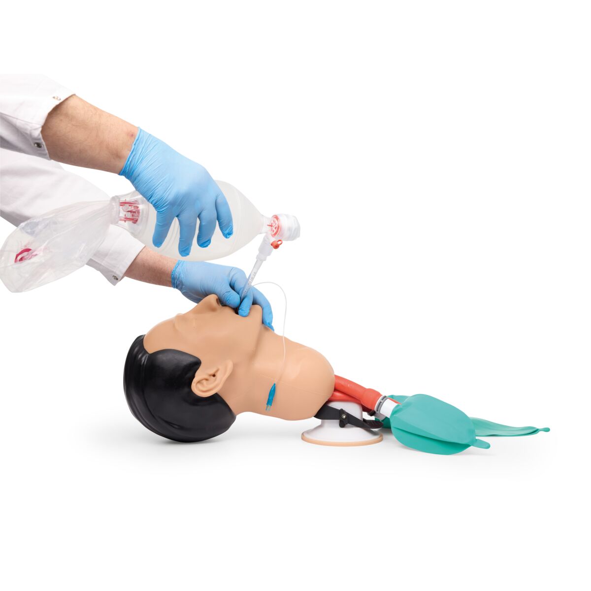 3B Basic Airway Management Trainer Light 1026007 Image 6