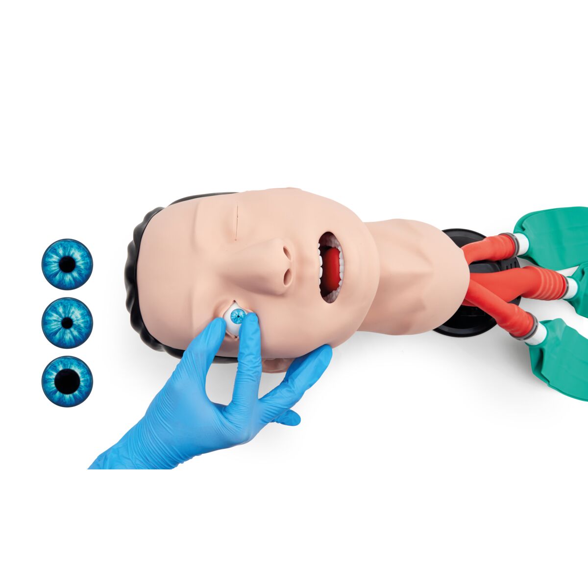 3B Basic Airway Management Trainer Light 1026007 Image 8