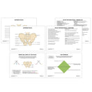 Switch Pelvis Anatomy Revision Worksheets 2 image