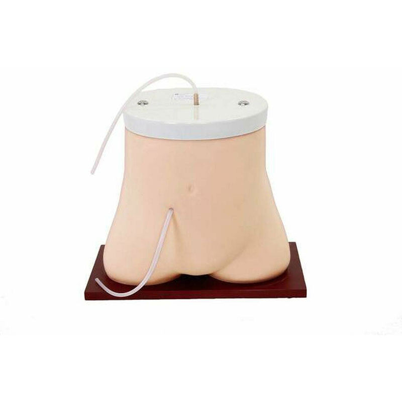 Peritoneal Dialysis Model by Anatomy Lab