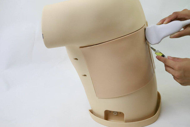 Thoracentesis Ultrasound Training Model
