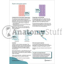 Switch Popular Contraception Options 3 image