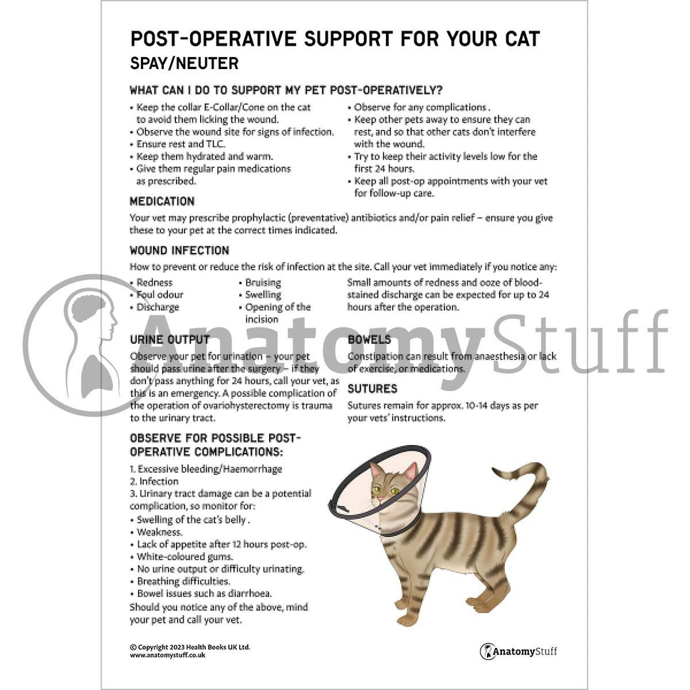 Post-Operative Support for Your Cat - Spay/Neuter (Printable PDF)