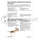 Switch Post-Operative Support for Your Dog printable PDF 2 image