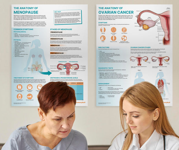 <strong>Anatomical Charts</strong>