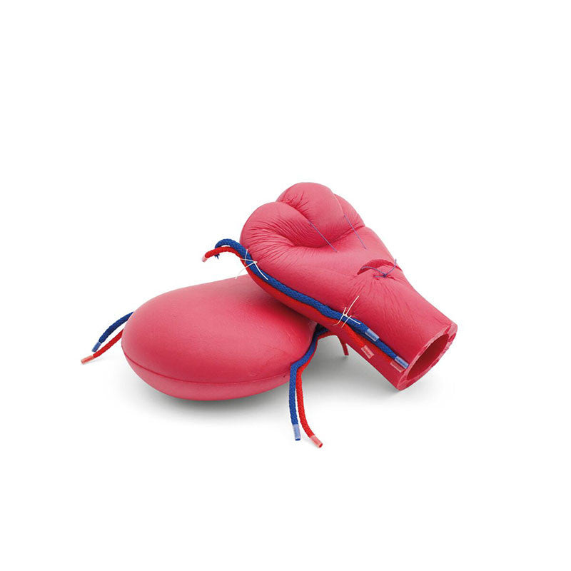 Postpartum Haemorrhage Simulator / PPH Trainer Pro