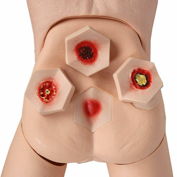 Elderly Patient Pressure Sore Training Manikin