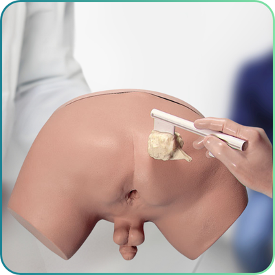 Prostate Examination