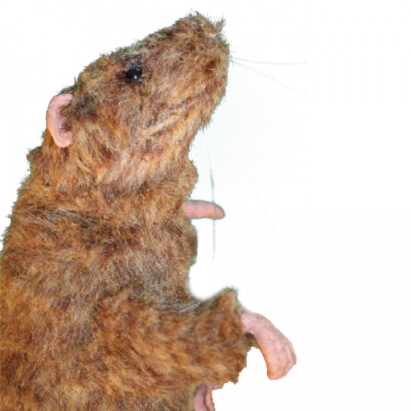 "Squeekums" Lab Rat Simulator