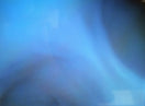 Switch &quot;Michael Angelo (Mikey) K9&quot; Canine Endoscopy Simulator 3 image