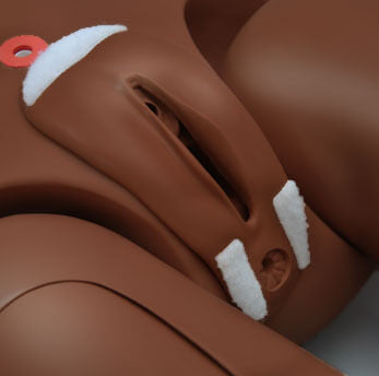 SUSIE SIMON Adult Patient Care Simulator Without Ostomy
