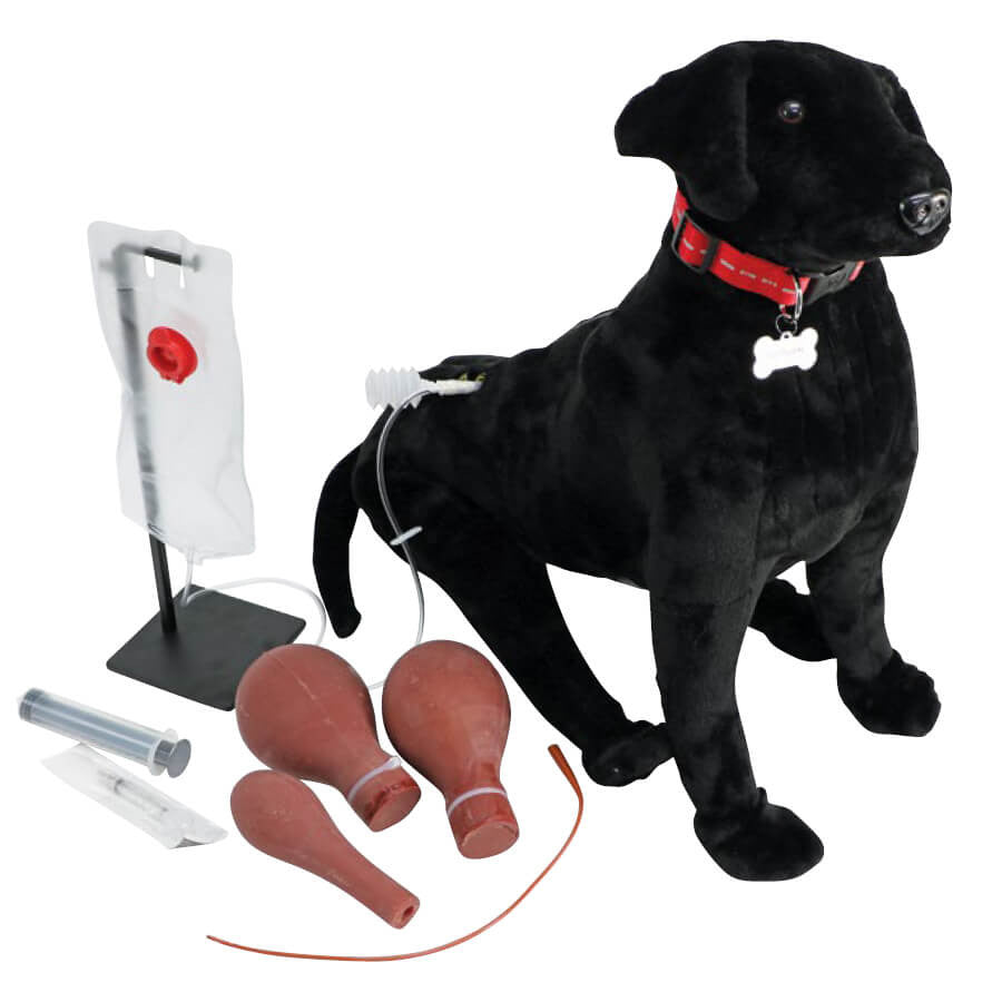 Canine Vet Trainer
