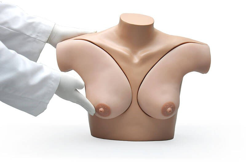Breast Palpation Skills Trainer
