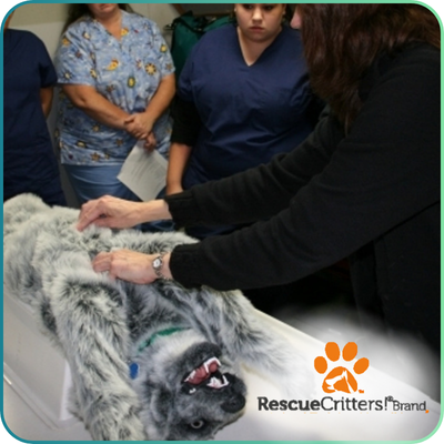 Rescue Critters
