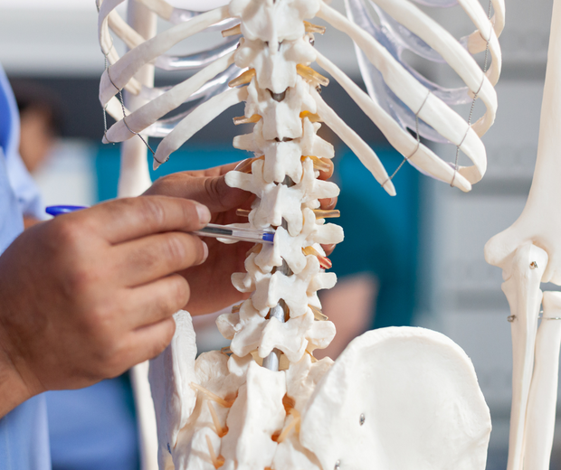 <strong>Resources for Physios</strong>