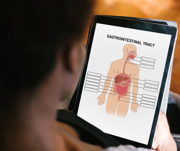 <strong>Anatomy Revision Hub</strong>