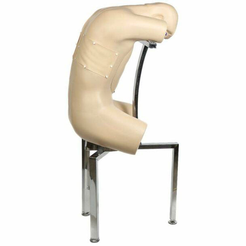 Adult Thoracentesis Simulator