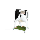 Switch Right Lateral View Of AI Female Bovine Simulator With Observation Window 3 image