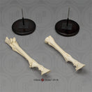 Switch SC-125 comparison Hind and Fore Equine Feet 3 image