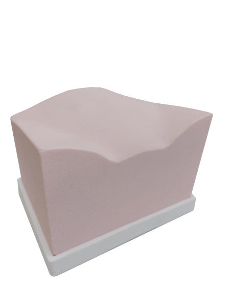 SonoEZ Ultrasound Trainer