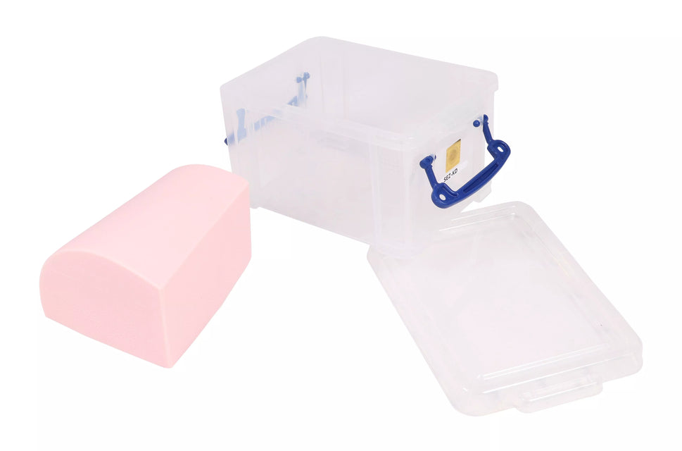 SonoEZ Ultrasound Trainer - Canine Kidney