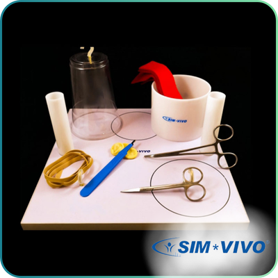 SIM-VIVO