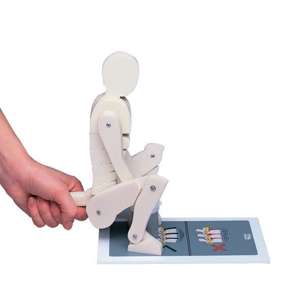 Lifting Manikin for Occupational Health 310K