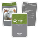 Switch Sheep Agriculture Animal Education Kit Breed ID Flashcards 3 image